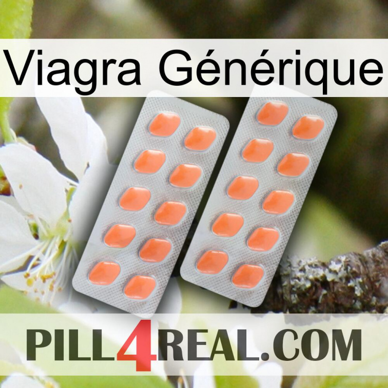 Viagra Générique 27